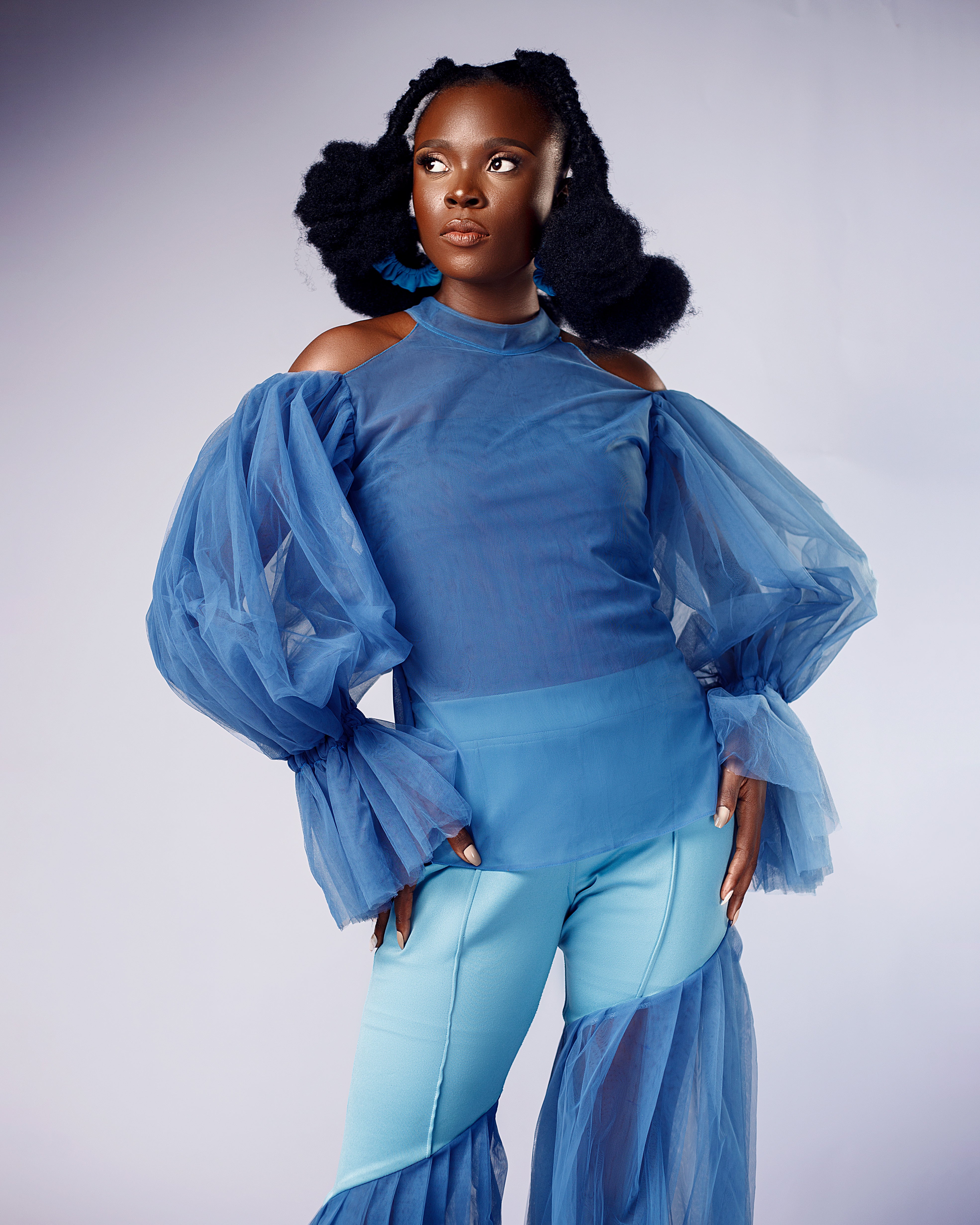 Milana Off-Shoulder Tulle High Neck Top - Dimaz