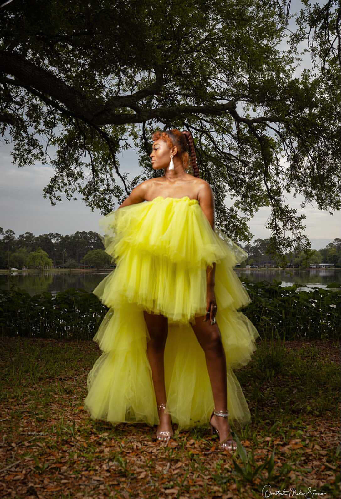 Anne Skirt Dress - Convertible Tulle Skirt and Dress - Dimaz